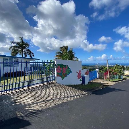 Million Dollar View In Puerto Rico Vila Luquillo Exterior foto