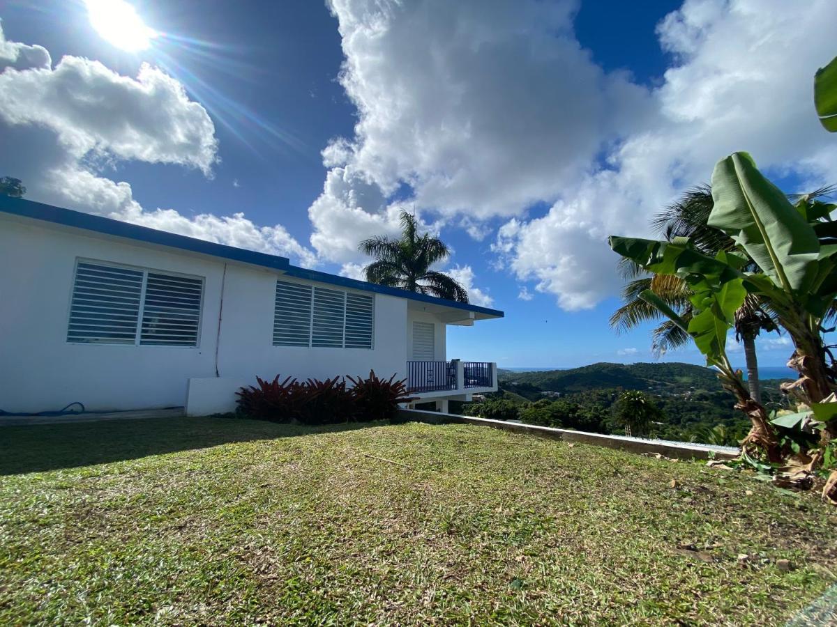 Million Dollar View In Puerto Rico Vila Luquillo Exterior foto