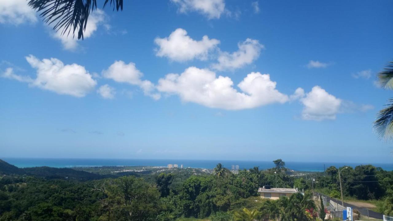 Million Dollar View In Puerto Rico Vila Luquillo Exterior foto