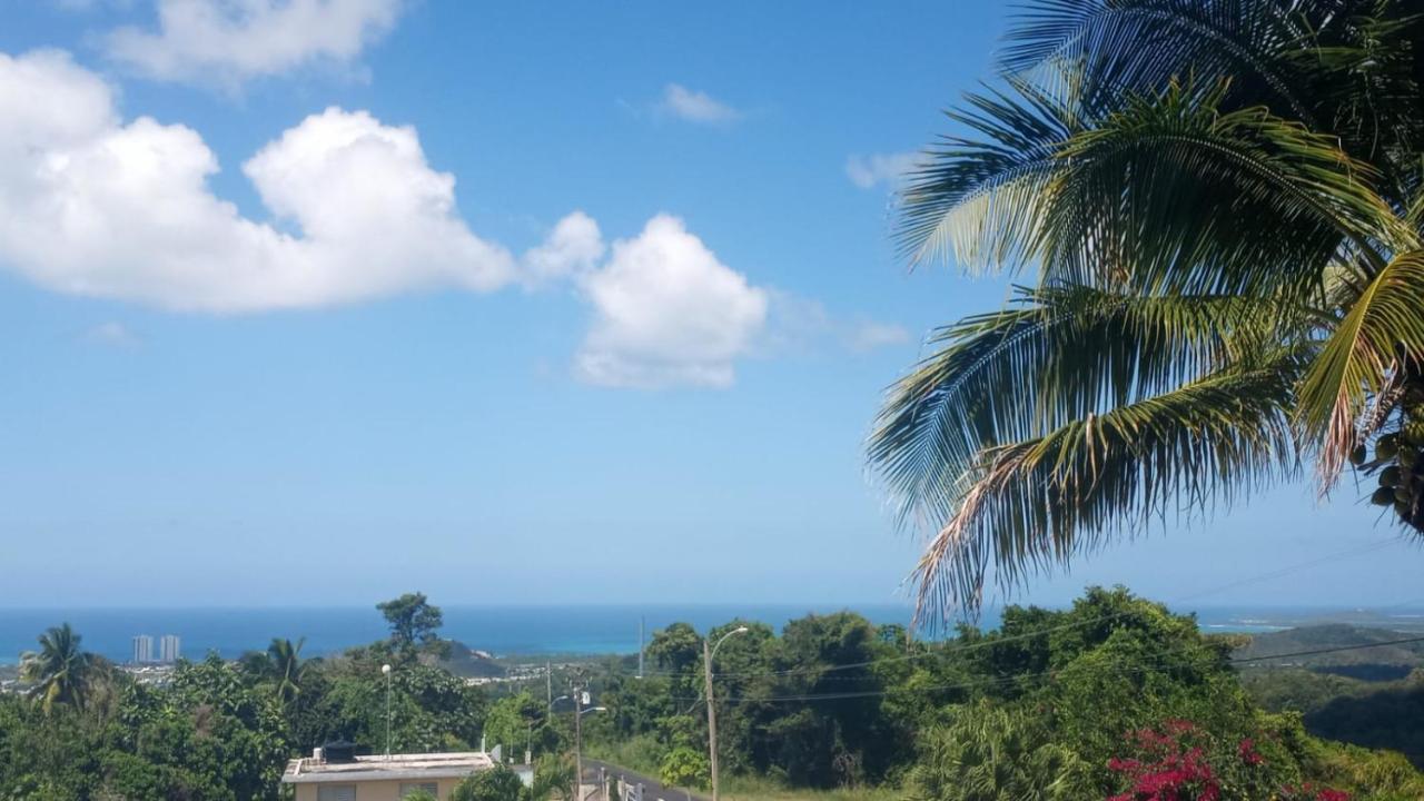 Million Dollar View In Puerto Rico Vila Luquillo Exterior foto