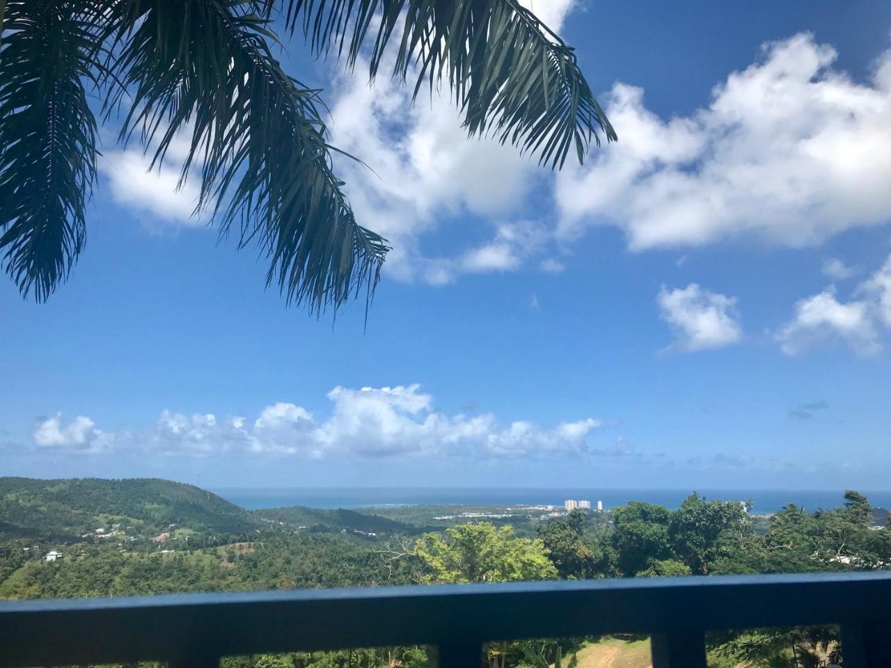 Million Dollar View In Puerto Rico Vila Luquillo Exterior foto