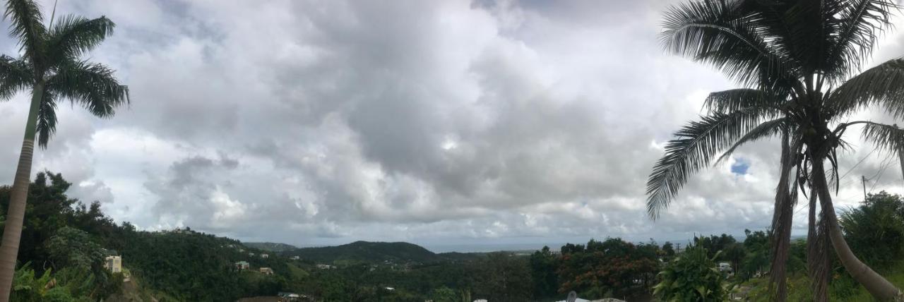 Million Dollar View In Puerto Rico Vila Luquillo Exterior foto
